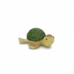 Minyatür Kaplumbağa
