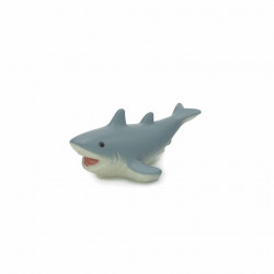 Minyatür Köpek Balığı